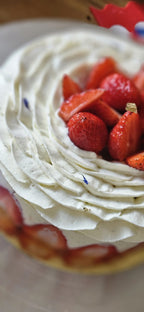 Fraisier revisité/ classique